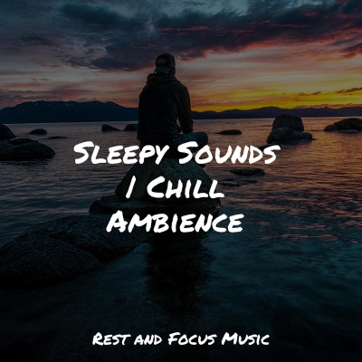 Sleepy Sounds | Chill Ambience