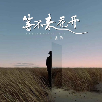 等不来花开 (抒情版)