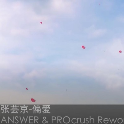 偏爱 (Remix：ANSWER 、 PROcrush)