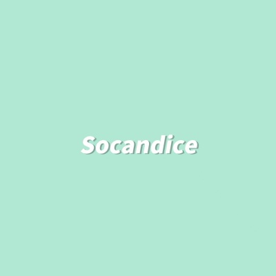 爱的回归线 0.8 (socandice remix)