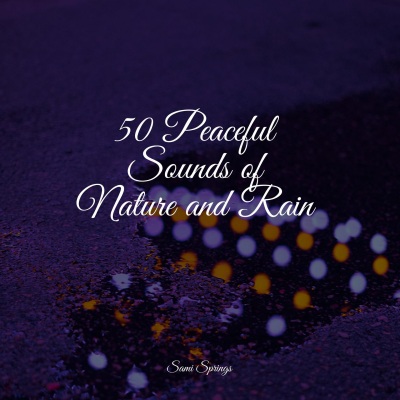 50 Peaceful Sounds of Nature and Rain