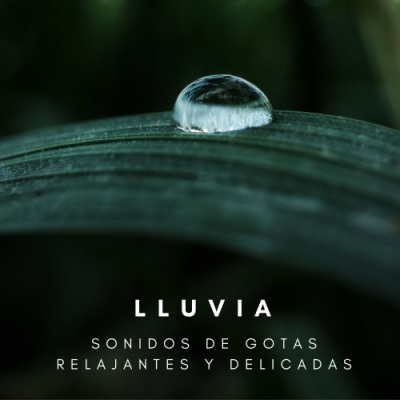 Lluvia: Sonidos De Gotas Relajantes y Delicadas