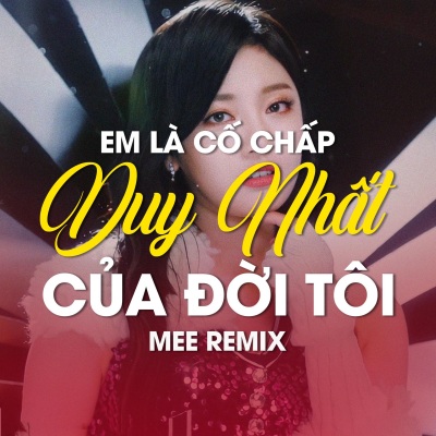 Em là cố chấp duy nhất của đời tôi (Mee Remix)