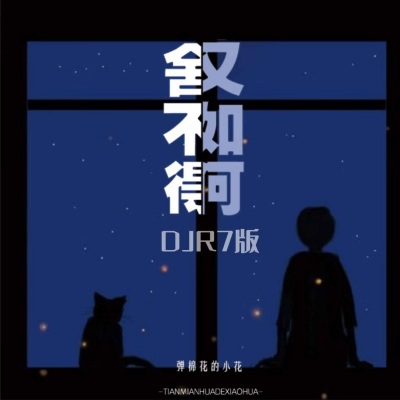 舍不得又如何 (DJR7版)