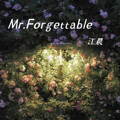 Mr. Forgettable (忧郁男声版)