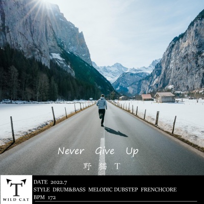 Never Give Up