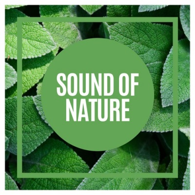 Sound of Nature