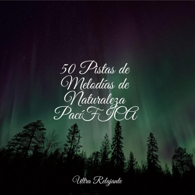 Musica Para Relajarse - Sonidos Del Aura