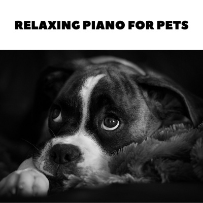 Relaxing Piano For Pets - music for dogs