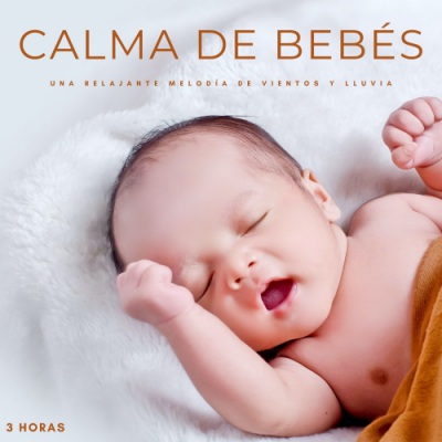 Calma De Bebés: Una Relajante Melodía De Vientos y Lluvia - 3 Horas