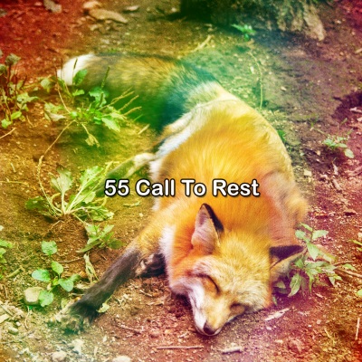 All Night Sleeping Songs to Help You Relax - Nights Grace
