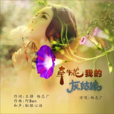 杨志广 - 牵牛花，我的灰姑娘