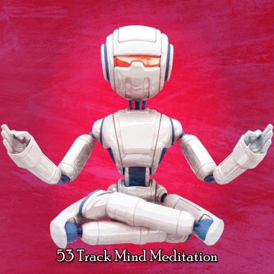 53 Track Mind Meditation