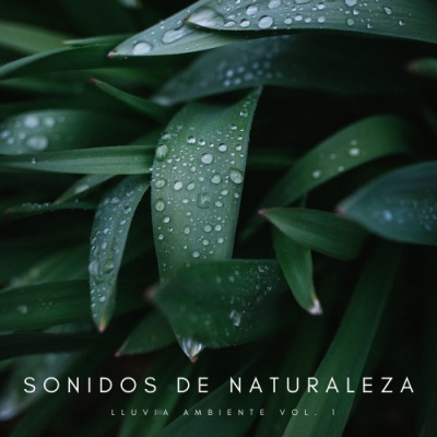 Sonidos De Naturaleza: Lluvia Ambiente Vol. 1