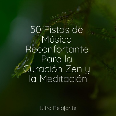 50 Pistas de Música Reconfortante Para la Curación Zen y la Meditación