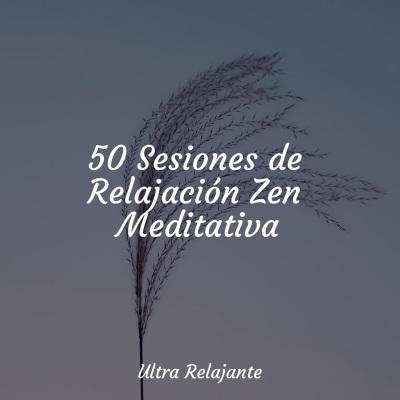 50 Sesiones de Relajación Zen Meditativa