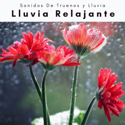 A Lluvia Relajante