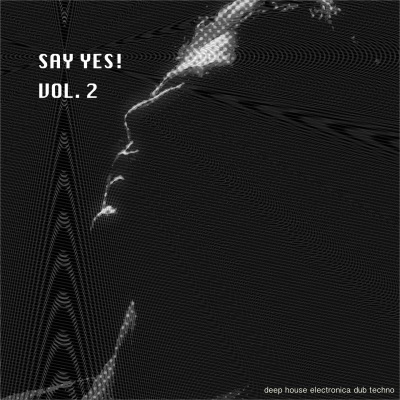 Say Yes! - Deep House Electronica Dub Techno, Vol. 2