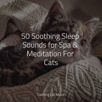 50 Soothing Sleep Sounds for Spa & Meditation For Cats