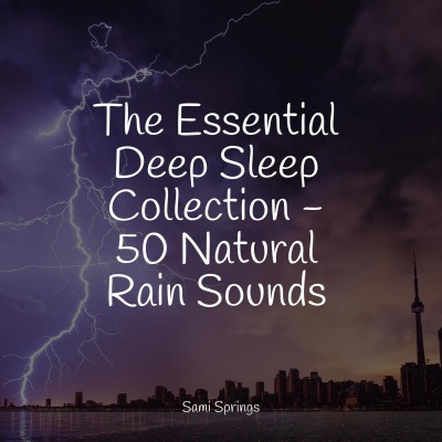 Relaxing Nature Sounds Collection - Rainy Night