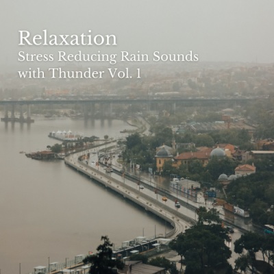 Relaxation: Stress Reducing Rain Sounds with Thunder Vol. 1