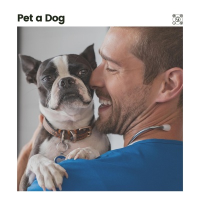 Sleeping Music For Dogs - Calming Music for Stressed Dogs, Pt. 1