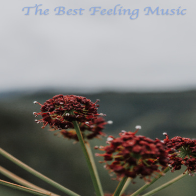 The Best Feeling Music