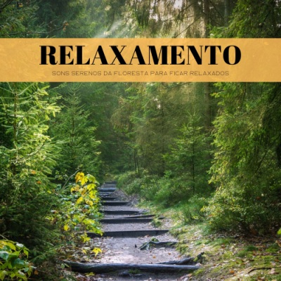 Relaxamento: Sons Serenos Da Floresta Para Ficar Relaxados