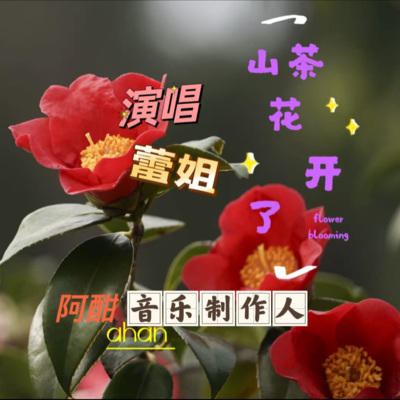 山茶花开了（民通版）