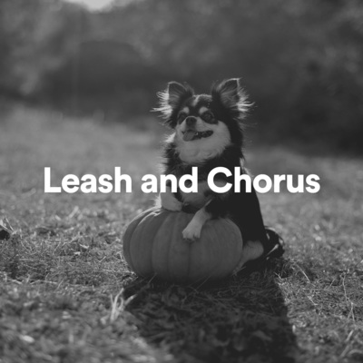Sleeping Music For Dogs - Calm Bulldog Music, Pt. 19