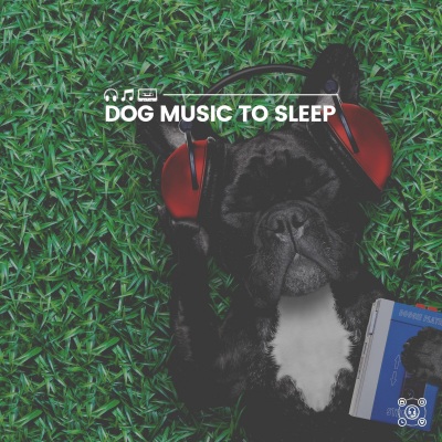 Sleeping Music For Dogs - No More Anxiety, Pt. 6