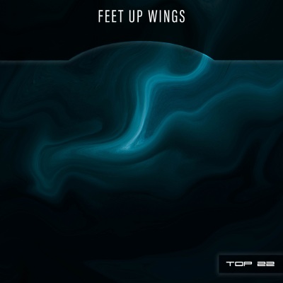 Feet Up Wings Top 22