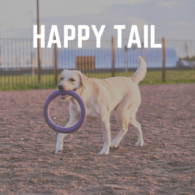 Puppy Music - Like No Other