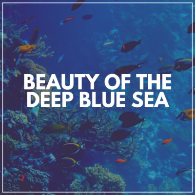 Beauty of the Deep Blue Sea