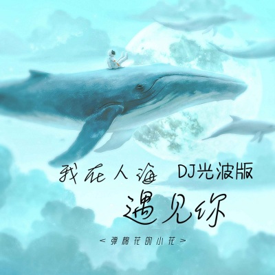 我在人海遇见你 (DJ光波版)