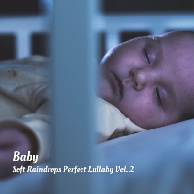 Baby: Soft Raindrops Perfect Lullaby Vol. 2