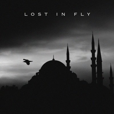 Lost In Fly (Radio Edit)