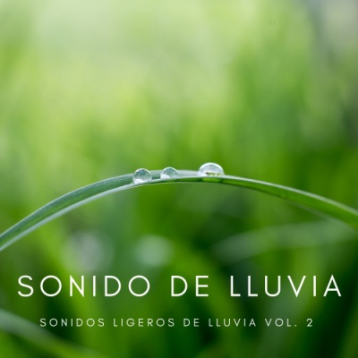 Sonido De Lluvia: Sonidos Ligeros De Lluvia Vol. 2