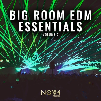 Big Room EDM Essentials, Vol. 2