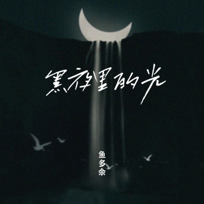 黑夜里的光