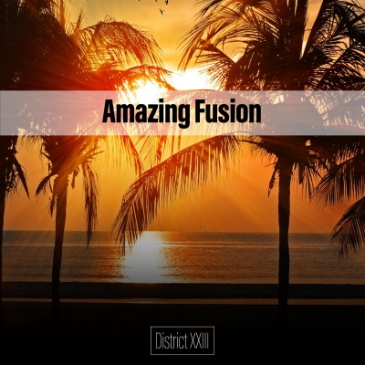 Amazing Fusion District XXIII