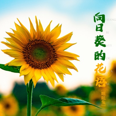 向日葵的花语