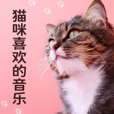 猫咪喜欢的音乐 - 小猫听的催眠曲, 睡眠音乐的狗和猫, 放松猫的音乐