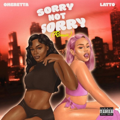 Sorry Not Sorry (Remix|Explicit)