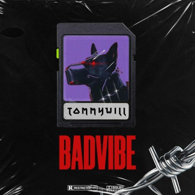 Bad Vibe (Explicit)