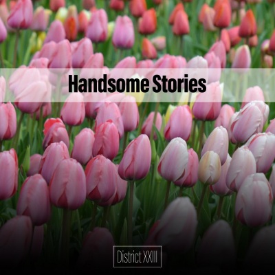 Handsome Stories District XXIII