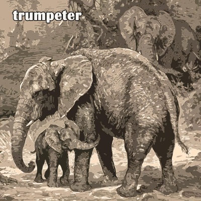 Trumpeter