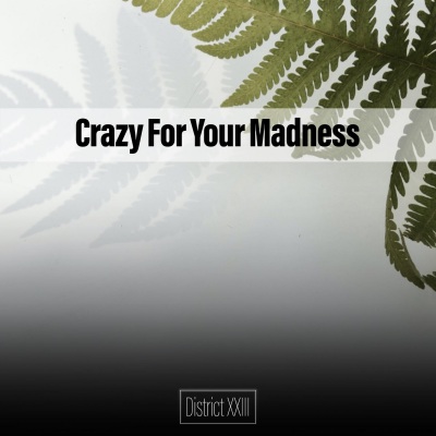 Crazy For Your Madness District XXIII