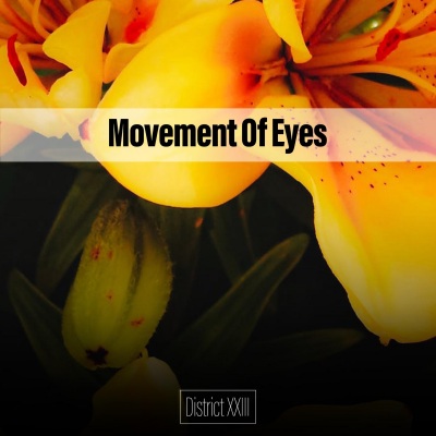 Movement Of Eyes District XXIII