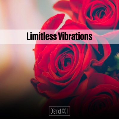 Limitless Vibrations District XXIII